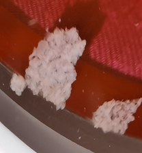 工质液结晶实物